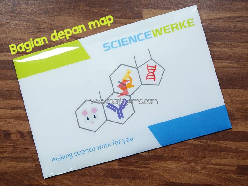 Cetak Map Kancing Bahan Plastik